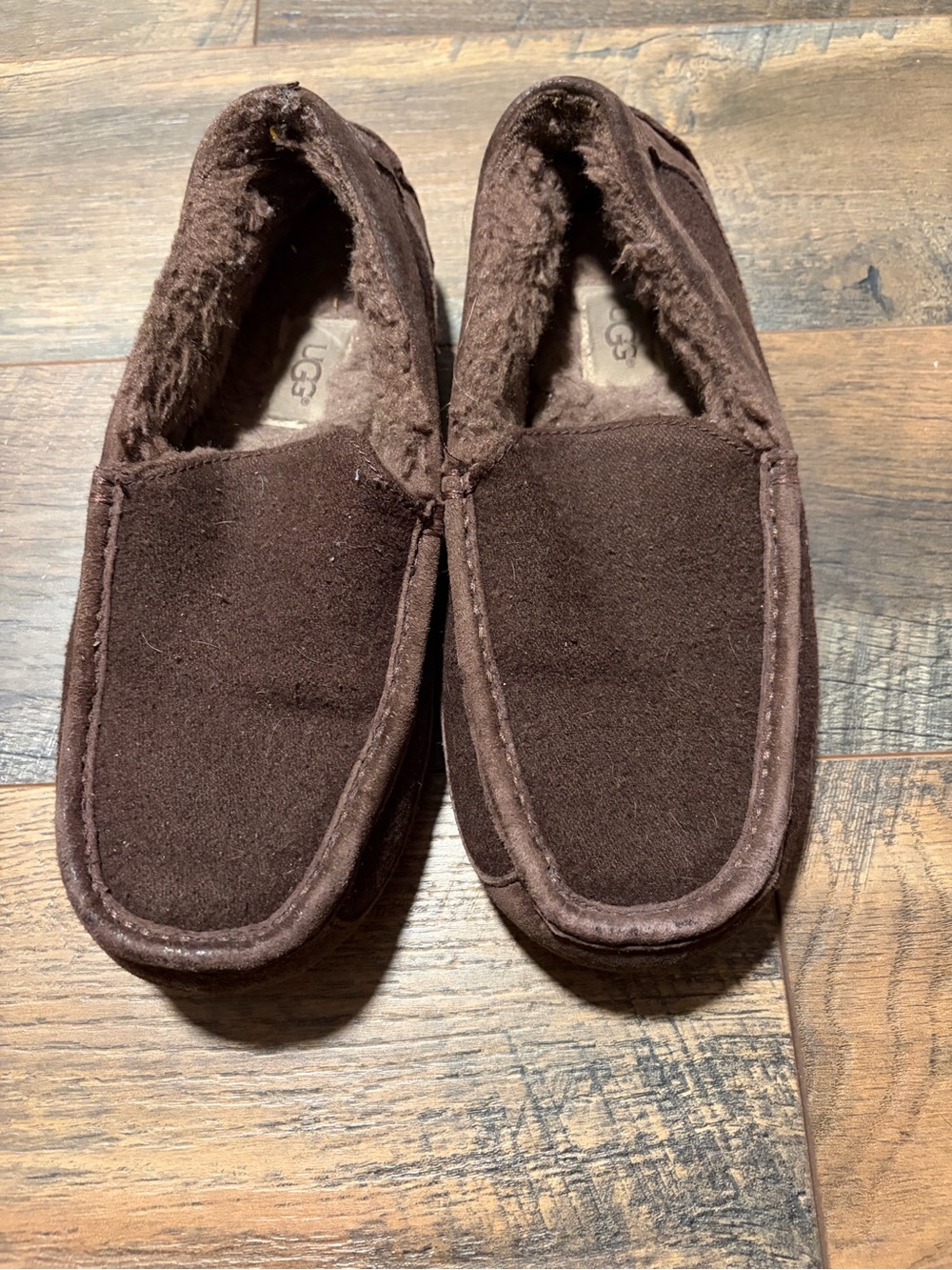 UGG Ascot Slipper